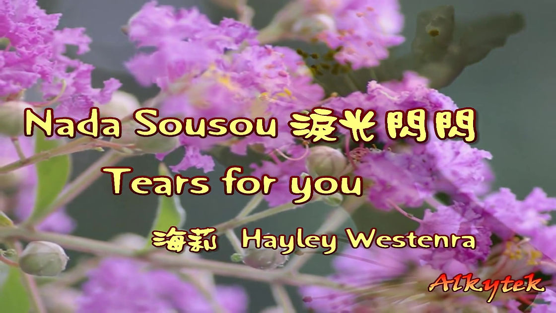 淚光閃閃--夏川里美 +  Tears for you - Nada Sousou. - 這首歌作者森山良子 思念哥哥而寫的 (1080p)